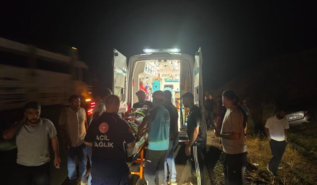 Bingöl’de kontrolden çıkan otomobil yoldan çıktı: 2 yaralı