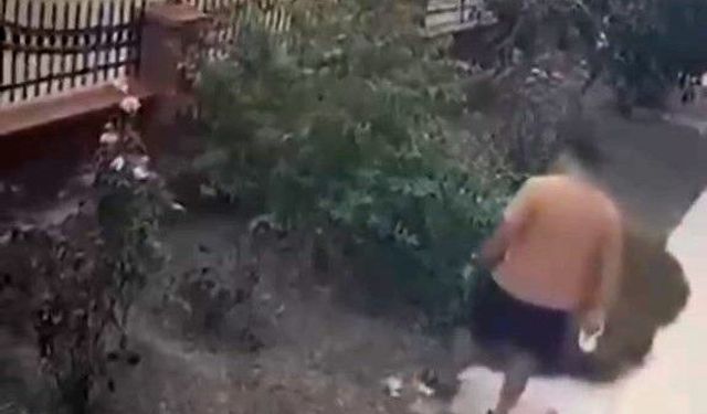 Bayraklı’da anne kediye tekmeli saldırı kamerada!