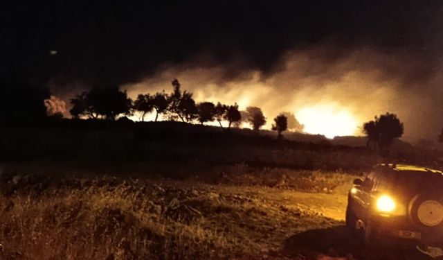 Aliağa’da zeytinlik ve otluk alanda yangın