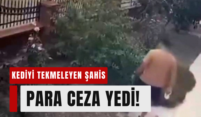 Anne kediye tekme atan şahsa ceza!