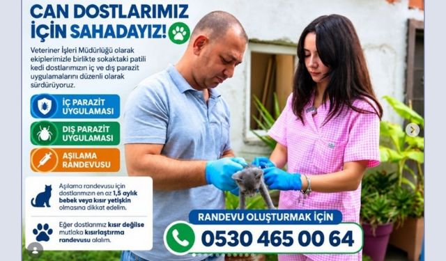 Güzelbahçe’de sokak kedileri için sağlık çalışması