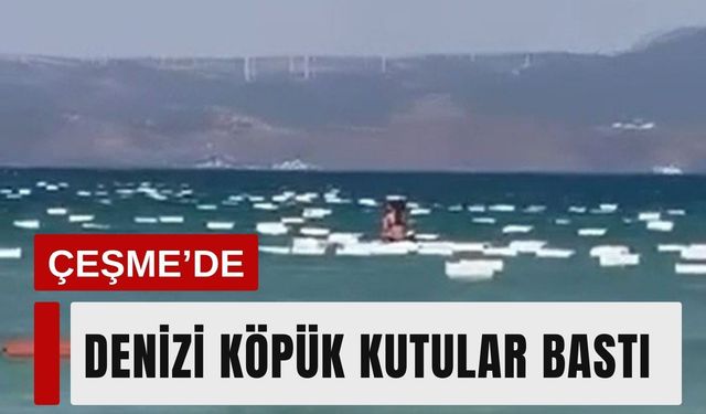 Çeşme’de denizi köpük kutular bastı