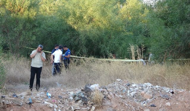Doğum gününde acı haber: Ağaçlık alanda ölü bulundu