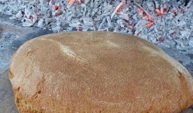 Seferihisar’da Ata Ekmeği ve Armola Şenliği heyecanı