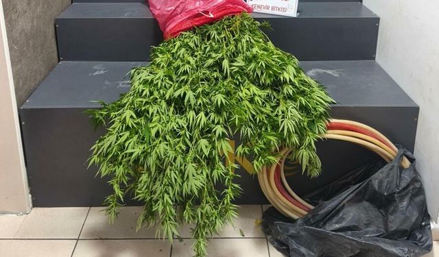 Konak'ta 3 adrese baskın: 4 tutuklama!
