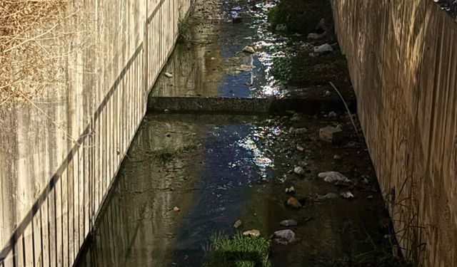 Urla’da dere kirliliği ve kötü koku tepkisi