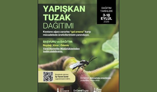 Gal arısına karşı yapışkan tuzak dağıtımı başlıyor