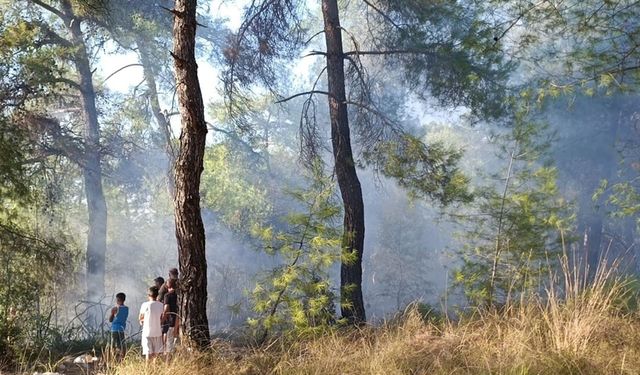 Köyceğiz’de ormanlık alanda yangın paniği