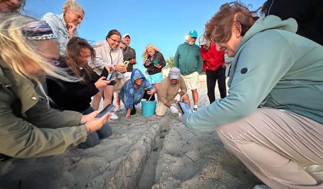 Kuşadası’nda 22 caretta caretta yavrusu denize bırakıldı