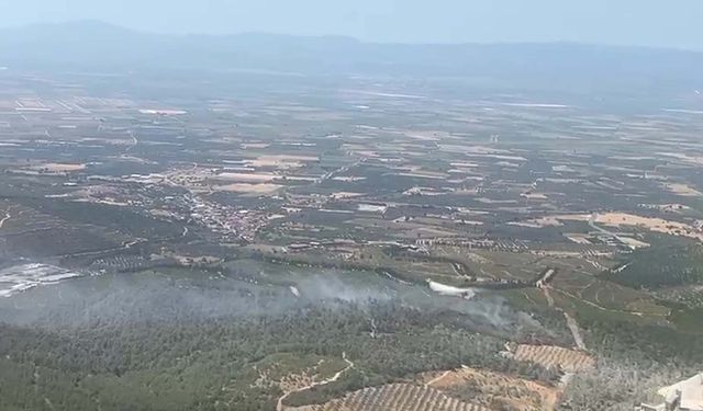 Soma'da orman yangını: Havadan ve karadan müdahale!