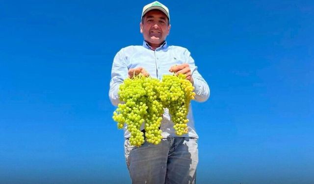 Saruhanlı Belediye Başkanı Cıllı yaralanarak hastaneye kaldırıldı