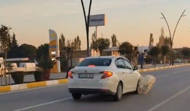 Akhisar’da otomobil koyun ve keçilere çarptı: 3 keçi telef oldu