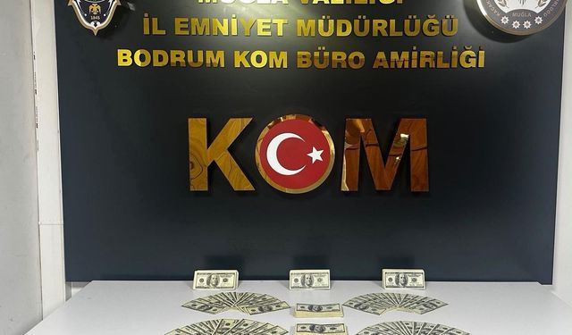 Bodrum’da 46 bin 200 dolarlık sahte para ele geçirildi