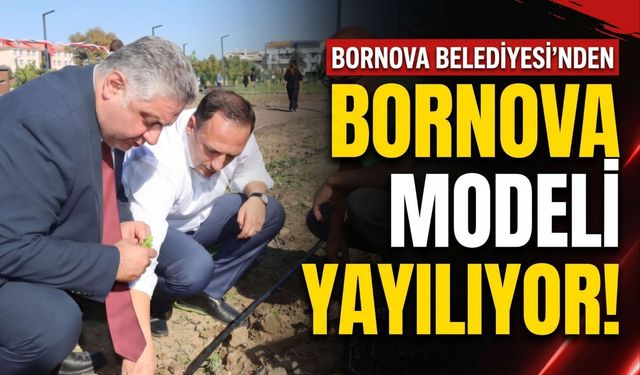Bornova’nın Kent Bostanı Modeli Yalova’ya örnek oldu