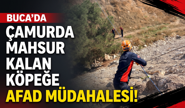 Buca’da çamur alanında mahsur kalan köpeğe AFAD müdahalesi!