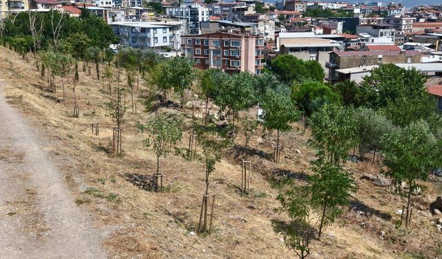 İzmir’de yeşil dönüşüm