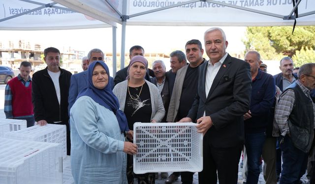 Kemalpaşa’da 656 çiftçiye 4 bin zeytin kasası desteği