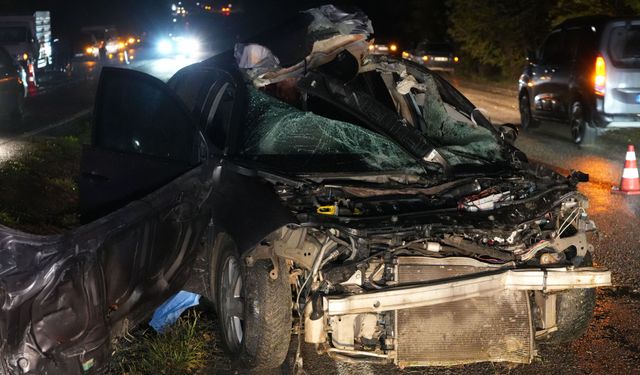 Kastamonu’da otomobil büyükbaş hayvana çarptı: Sürücü öldü