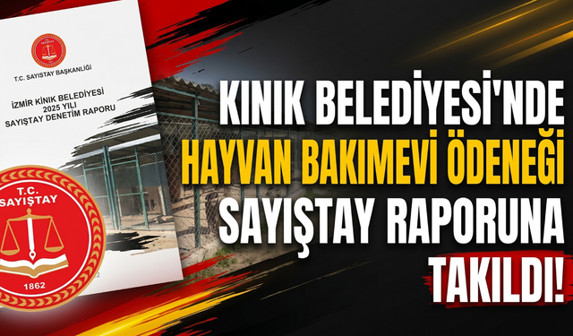 Kınık Belediyesi'nde hayvan bakımevi ödeneği Sayıştay raporuna takıldı!