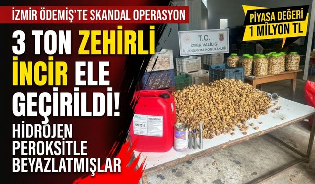 Ödemiş’te 3 ton kimyasalla beyazlatılmış incir ele geçirildi