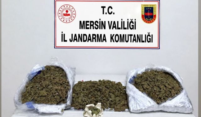 Mersin’de yasaklı operasyonu