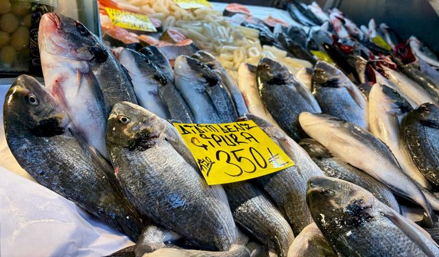 İzmir’de palamut bolluğu tezgahlara yansıdı: Tanesi 100 TL!