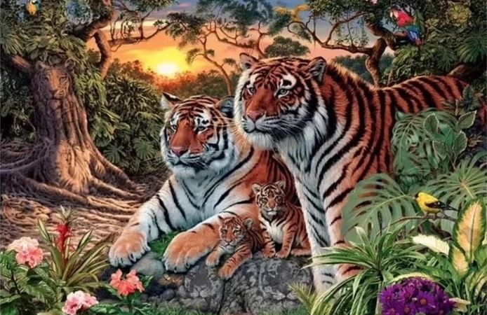 Fotoğrafta kaç kaplan var? Sosyal medya bu bulmacayı konuşuyor