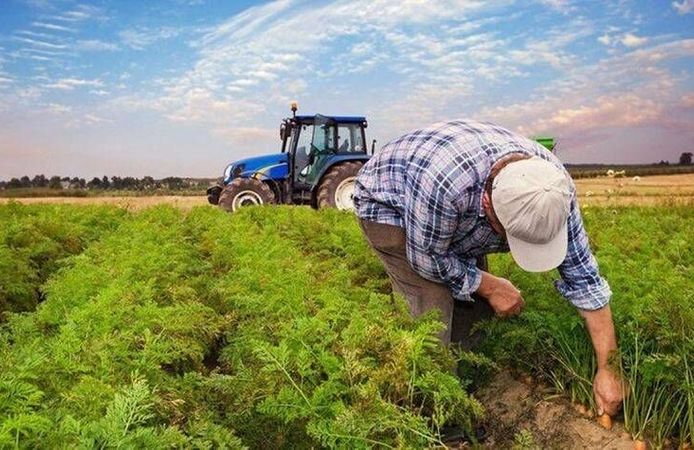 Çiftçiye 'Kuraklık' müjdesi: Zararlar 'Tohum Desteği' ile tazmin ediliyor!