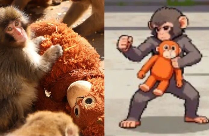 Fenomen maymun Punch artık bir oyun kahramanı