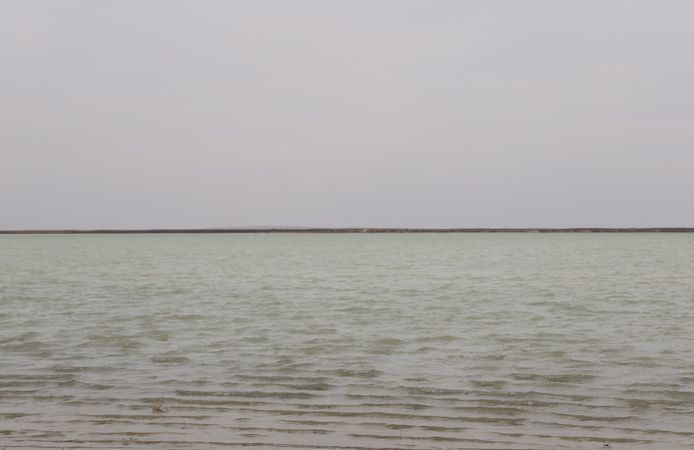 Kırşehir Seyfe Gölü’nde flamingo şöleni