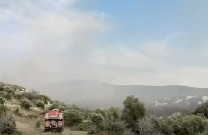 Çeşme'de korkutan yangın!