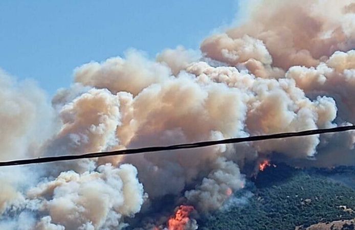 Çanakkale'de orman yangını!