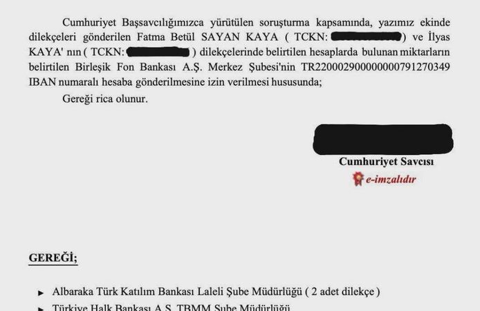 Sayan Kaya ve eşinin yatırımları için başsavcılıktan izin
