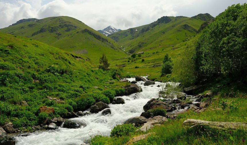 Alpleri aratmıyor: Keşfedilmeyi bekleyen huzur dolu yayla