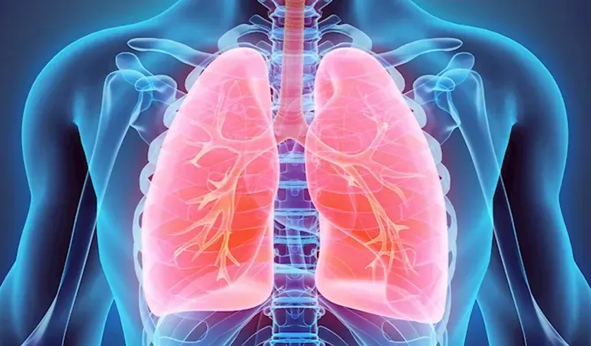 Akciğer kanserinde 'Erken kalkan yol alır': 100 kişiden 4’ü taramayla kurtuluyor