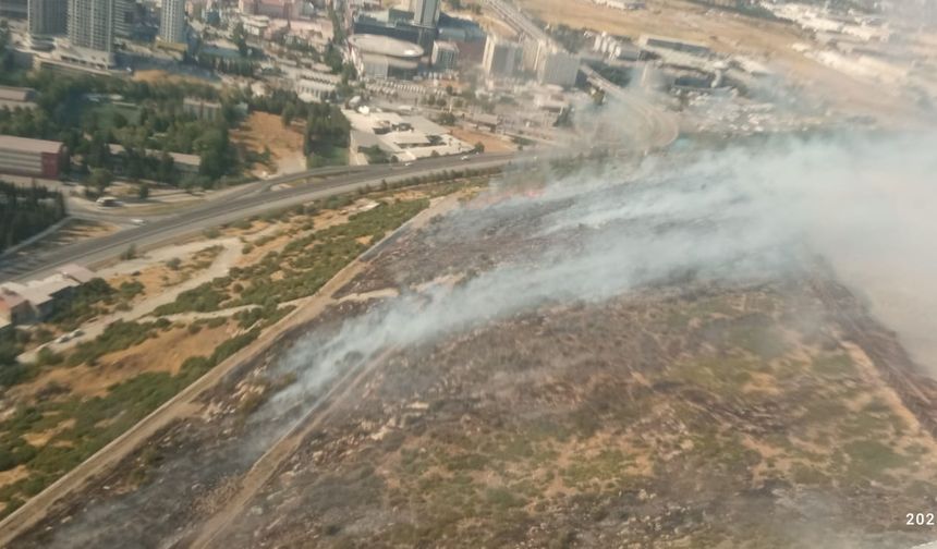 Bornova'da orman yangını! Müdahale devam ediyor