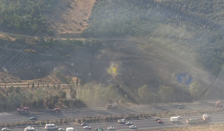 İzmir'de çevre yolunda çıkan tır yangını ormana sıçradı!