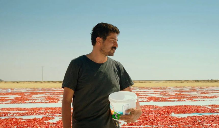 Venedik’ten Altın Koza’ya, şimdi Oscar’a: Türkiye’nin yeni Oscar adayı belli oldu