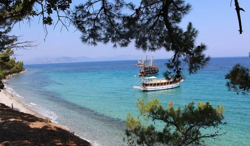 Berrak denizi ve yemyeşil doğasıyla Bodrum'u solladı: Serin sulara atlamak isteyenlerin gözdesi oldu