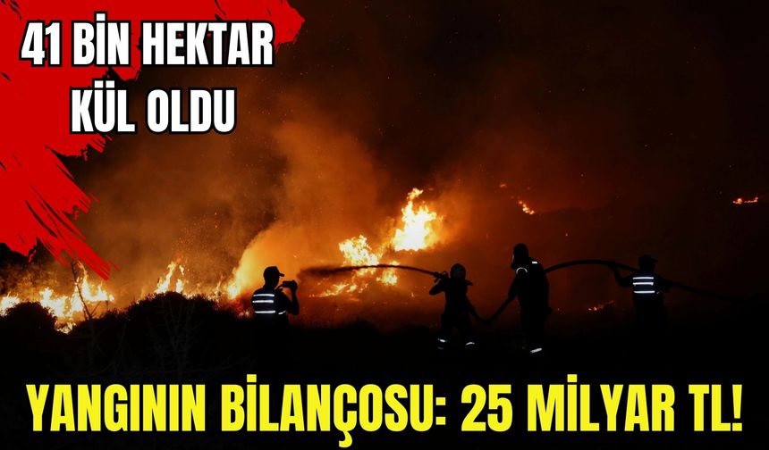 41 bin hektar orman kül oldu, yangınların faturası dudak uçuklattı!