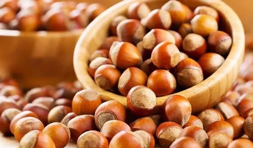 Piyasa dalgalı: Fındık fiyatları pes dedirtecek!