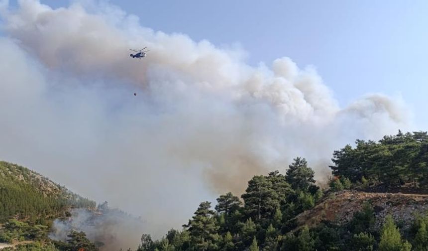 Yangın kabusu: Orman ve yerleşim alanları tehlikede