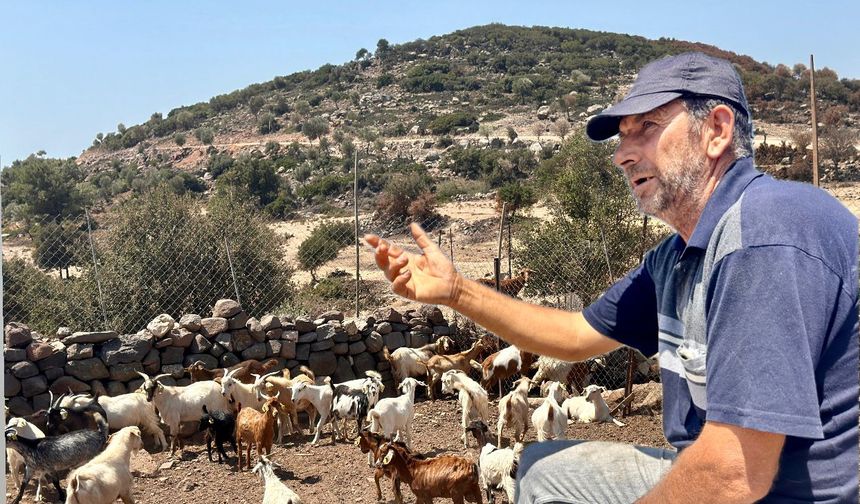 Alevler Germiyan’ı vurdu: Üreticiler yangın sonrası perişan