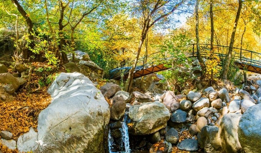 Ekim’de İzmir’de piknik keyfi: Hava soğumadan kaçırılmayacak 12 muhteşem alan