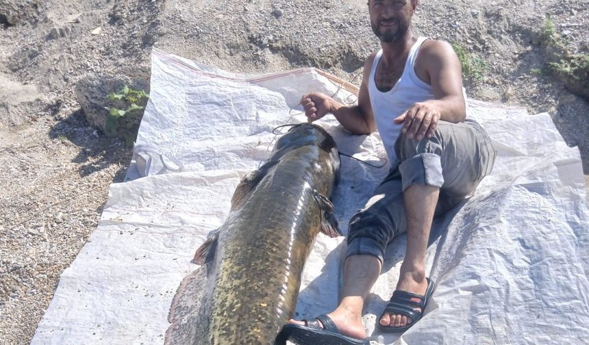 Manisa’da oltaya takılan dev balık herkesi şoke etti