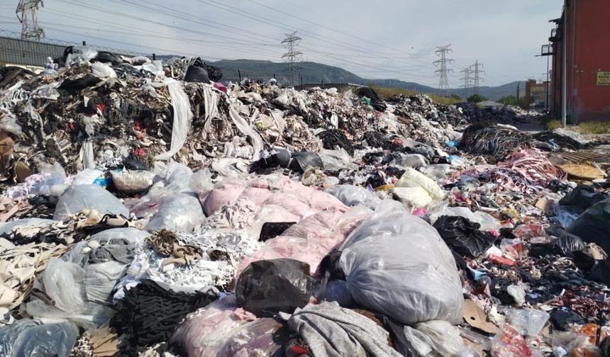 İzmir sokaklarında tehlike: Çöp ve hijyen sorunu büyüyor!
