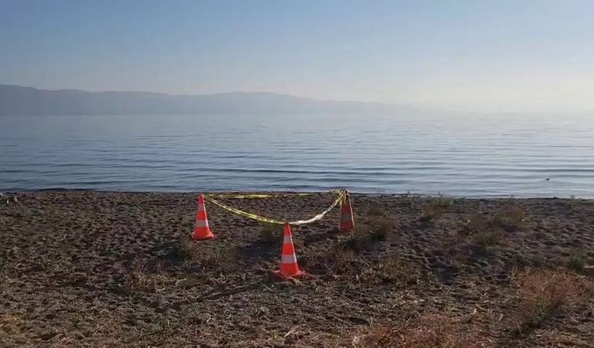 Flaş! Göl kıyısında el bombası paniği! Ekipler sevk edildi