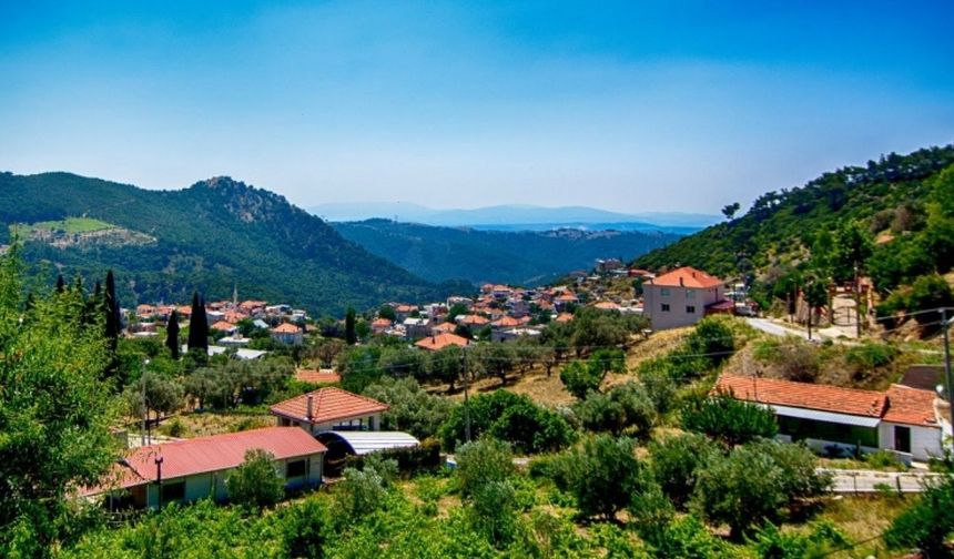 Baldan tatlı üzümüyle Şirince'yi solladı! İzmir'in eski Yörük köyü turistlerin ilgi odağı oldu