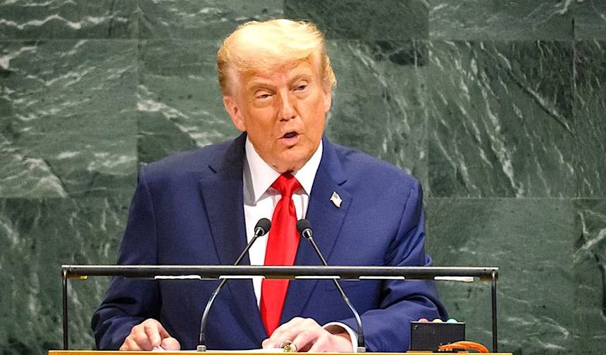 Şaşırtan karar: 1 dolarda Trump'ın resmi olacak