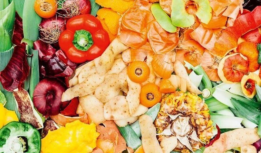 'Yenmez' diyerek atıyorsanız dikkat! Uzmanlar uyardı: Asıl şifası kabuğunda ve sapındaymış